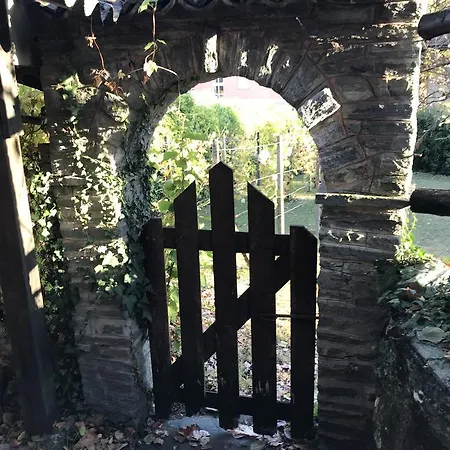 Casa Annita 2* לוקרנו